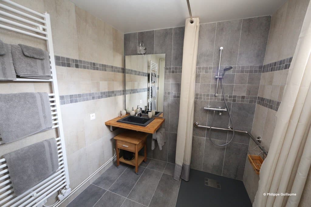 salle de bain adaptée aux personnes à mobilité réduite, dans la chambre accessible aux animaux, le poisson volant salle de bain adaptée aux personnes à mobilité réduite, dans la chambre accessible aux animaux, le poisson volant