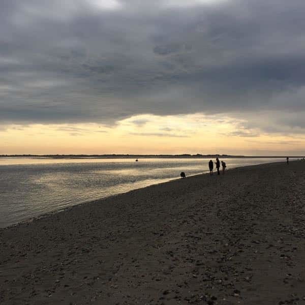 Le Crotoy hors saison, un séjour aux beaux jours en Baie de Somme, chambre et tables d'hôtes Le Crotoy hors saison, un séjour aux beaux jours en Baie de Somme, chambre et tables d'hôtes