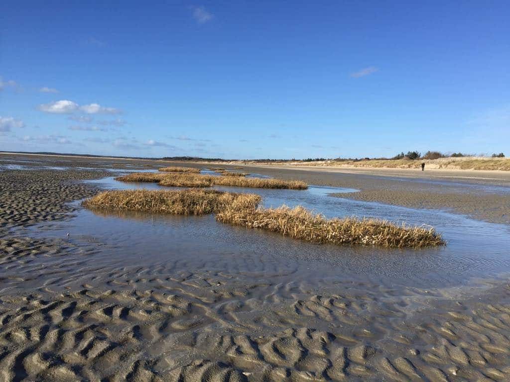 Traversée de la Baie de Somme et de la réserve du Marquenterre