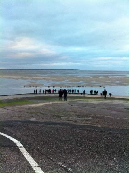 Phoques au niveau de la base nautique de Berck sur Mer en Baie d'Authie les beaux jours en Baie de Somme