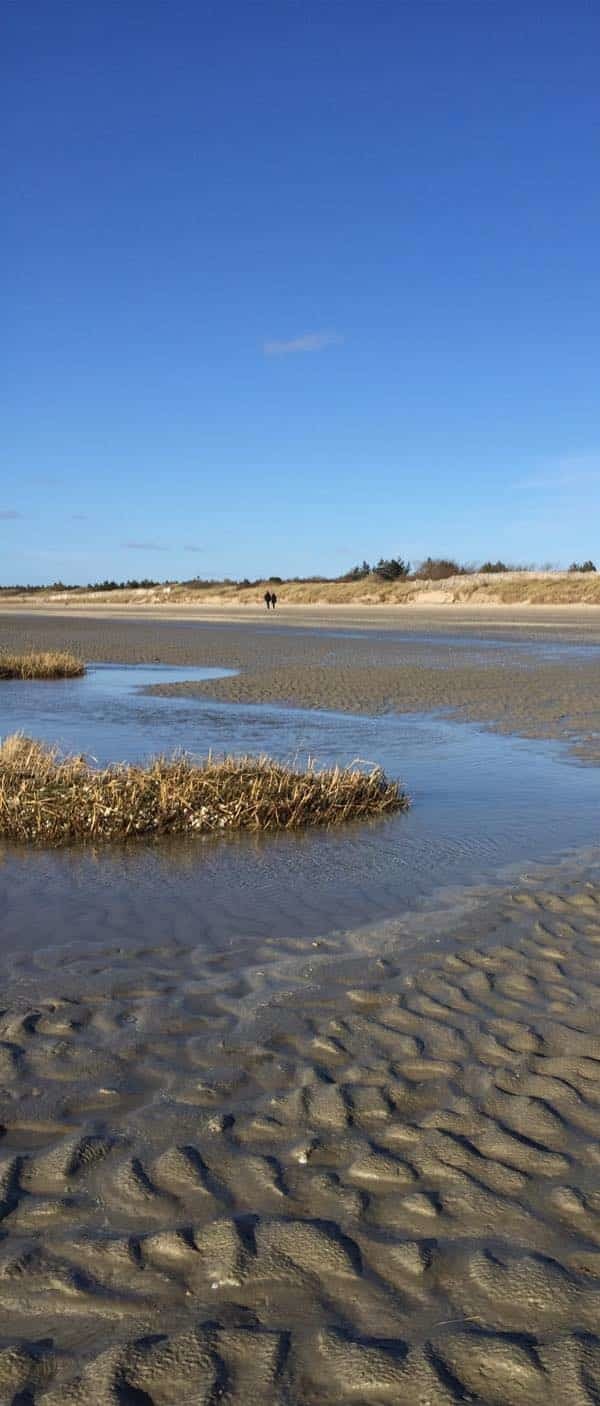 Traverser la Baie de Somme, une expérience à vivre. les beaux jours en Baie de Somme. 