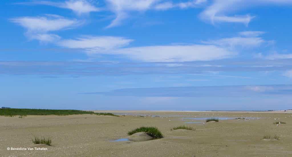 Traversée de la Baie de Somme, les beaux jours en Baie de Somme, chambres d'hôtes