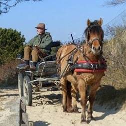 Charles Chapron en sortie attelage en baie de Somme