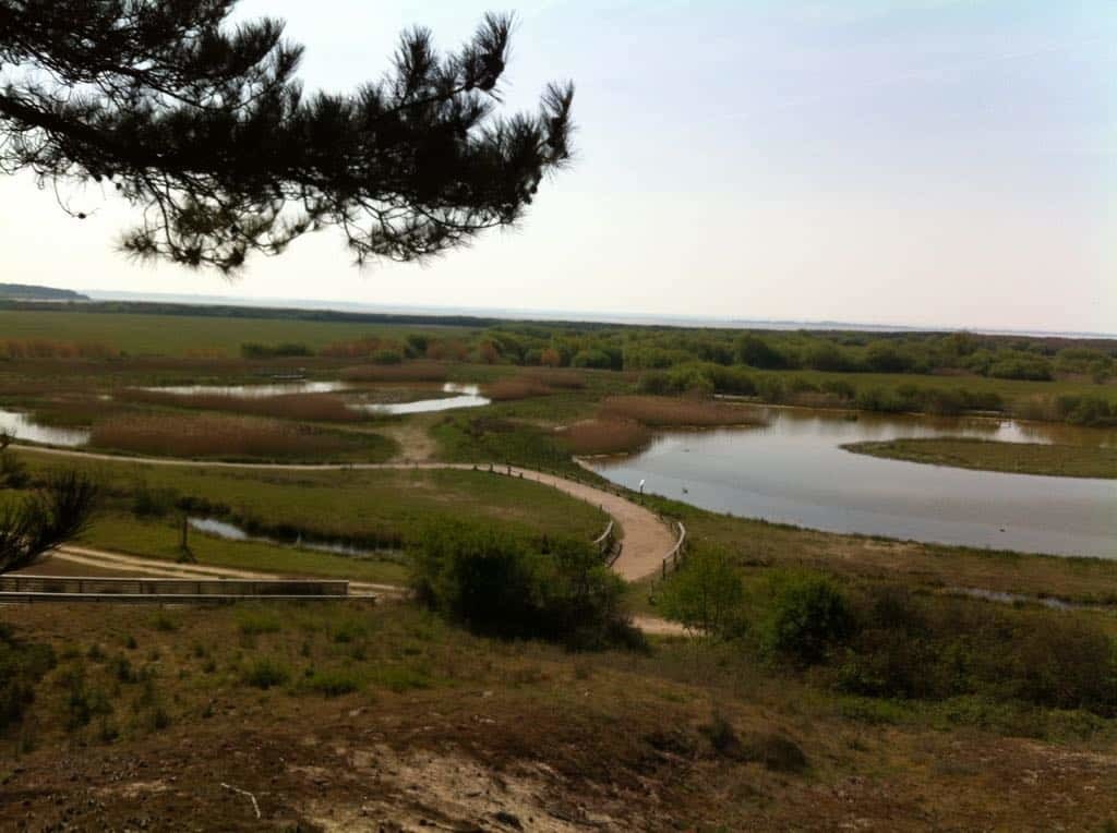 vue panoramique sur la Parc du Marquenterre