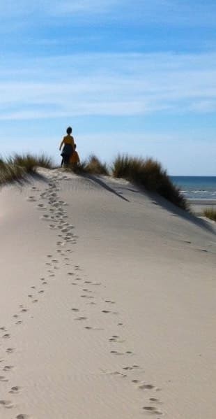 Randonnée dans le Marquenterre : la dune de la pyramide, sentier des Crocs Randonnée dans le Marquenterre : la dune de la pyramide, sentier des Crocs