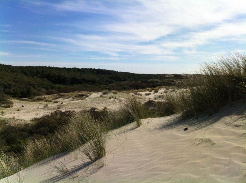 Entre plage, dunes et forêt au coeur de la réserve du Marquenterre 