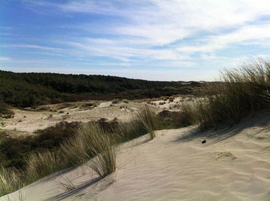 Entre plage, dunes et forêt au coeur de la réserve du Marquenterre