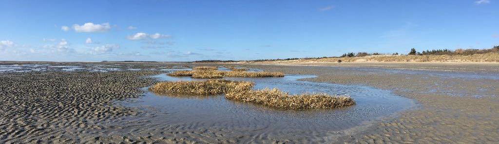 beautés du Marquenterre et de la Baie de Somme en hiver