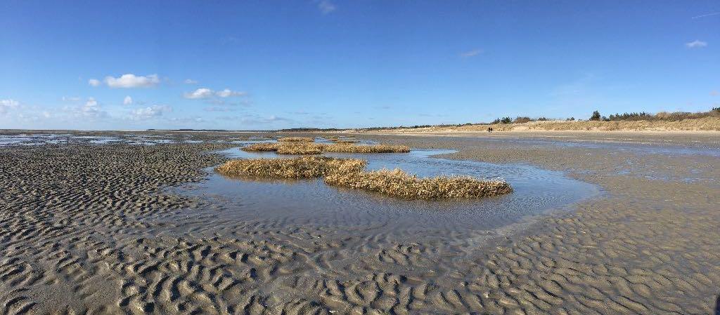 Paysage du Marquenterre, les beaux jours en Baie de Somme, chambres d'hôtes de charme en Baie de Somme