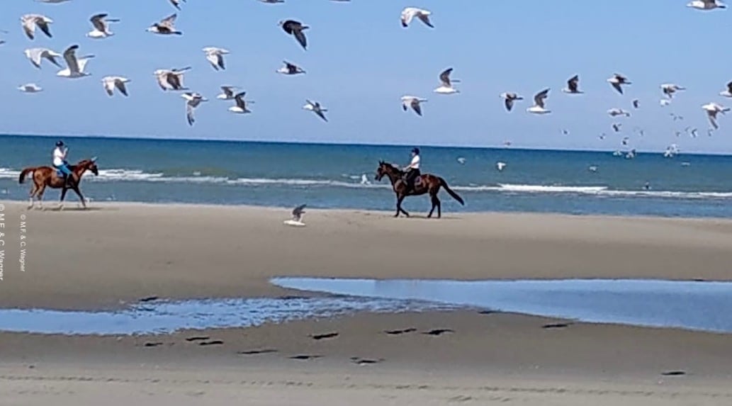 le plus bel endroit de la baie de Somme