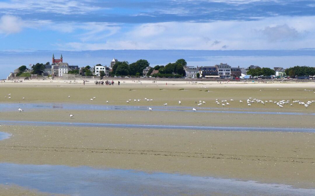 Nos meilleures activités en baie de Somme