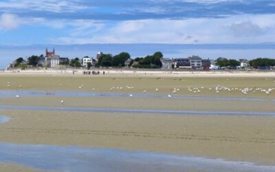 Nos meilleures activités en baie de Somme